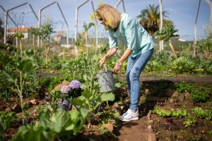 Spring Activities for Seniors